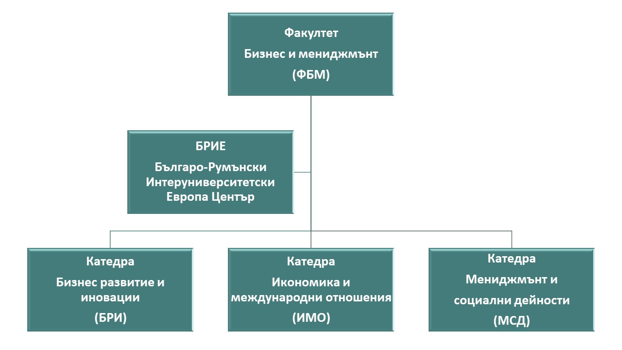 структураФБМ.jpg